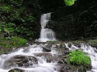 �㓪���̑�